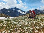 01 Sul Monte Campo tra distese di crosus in fiore